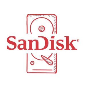 SanDisk Data Storage